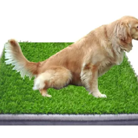 Tapete Grande Entrenador Mascota Con Grama Tamaño 76.5 Cm X 51 Cm