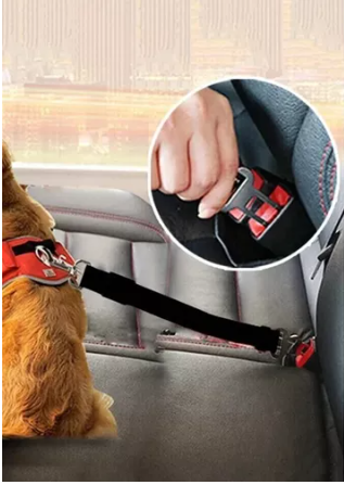 Correa Para Perro Cinturón De Seguridad De Auto