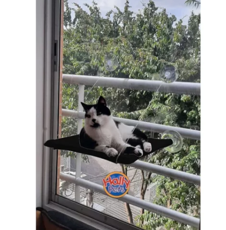 Cama o hamaca asoleadora para Gatos