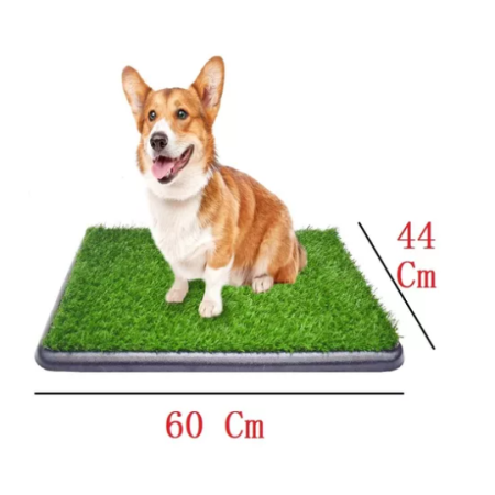 Tapete Entrenador Mascota Con Grama Mediano 60 Cm X 44 Cm