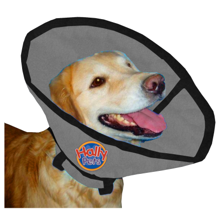 Collar Isabelino En Lona Talla L