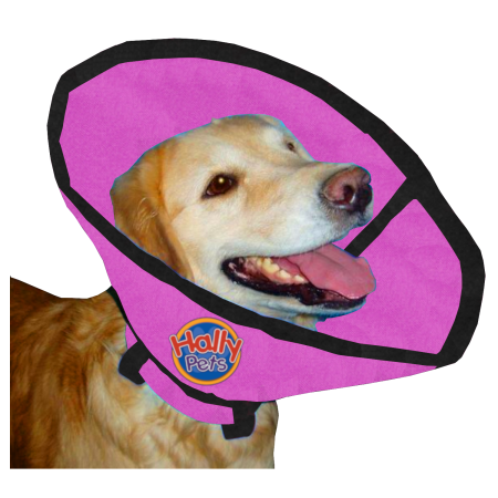 Collar Isabelino En Lona Talla XL