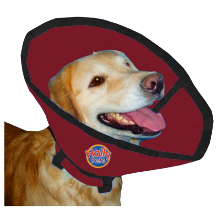 Collar Isabelino En Lona Talla M