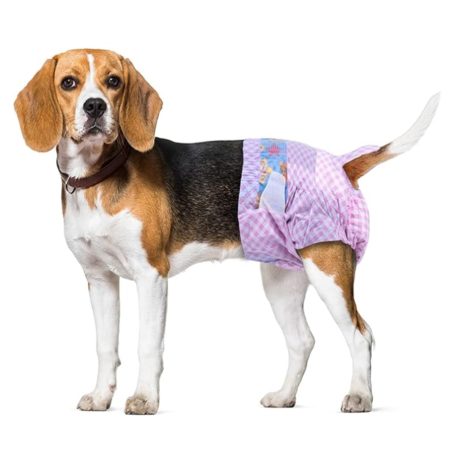 Pañal Desechable Para Mascota Hembra Talla L Por 10 Und